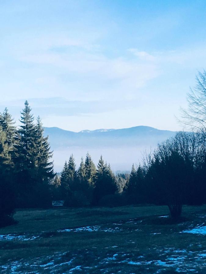 Bükkfői vendégház Borzont Exterior foto